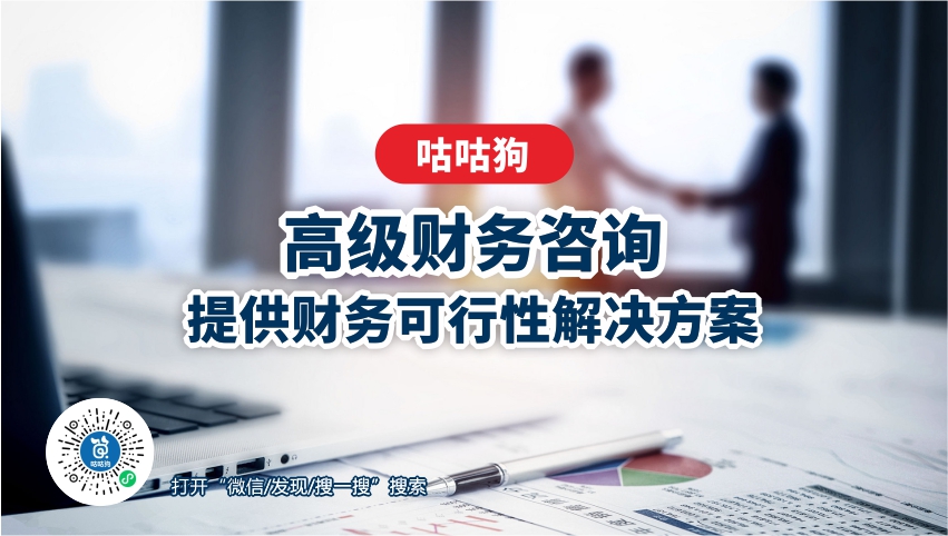高级财务咨询 企业成长的战略性引擎